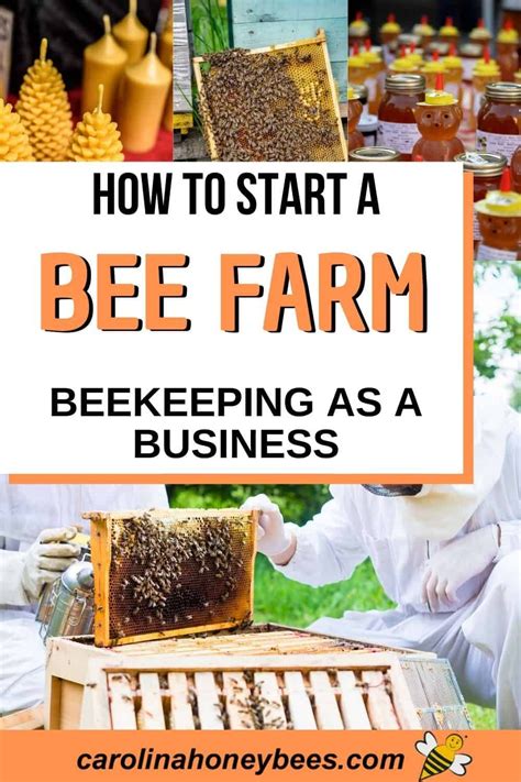 Bee farmr Your bees will need tended to on a consistent bases